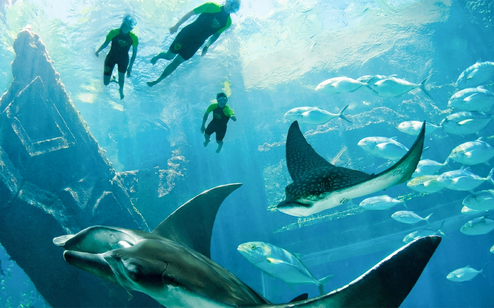Swimmers explore underwater ruins with rays and fish at Atlantis Aquaventure, Nassau, Bahamas.