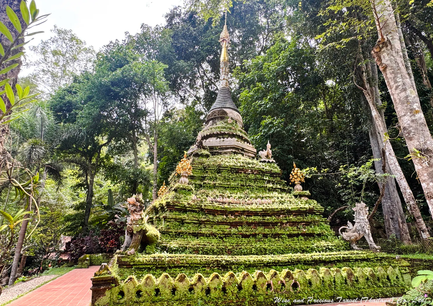 From Chiang Mai: Doi Suthep Temple and Wat Pha Lat Private Van Charter for Up to 8 Passengers Image 4