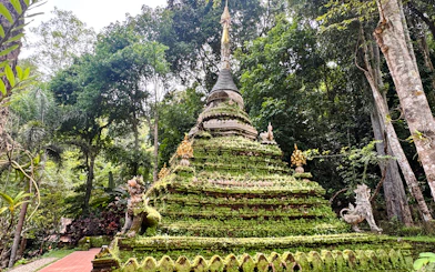 From Chiang Mai: Doi Suthep Temple and Wat Pha Lat Private Van Charter for Up to 8 Passengers