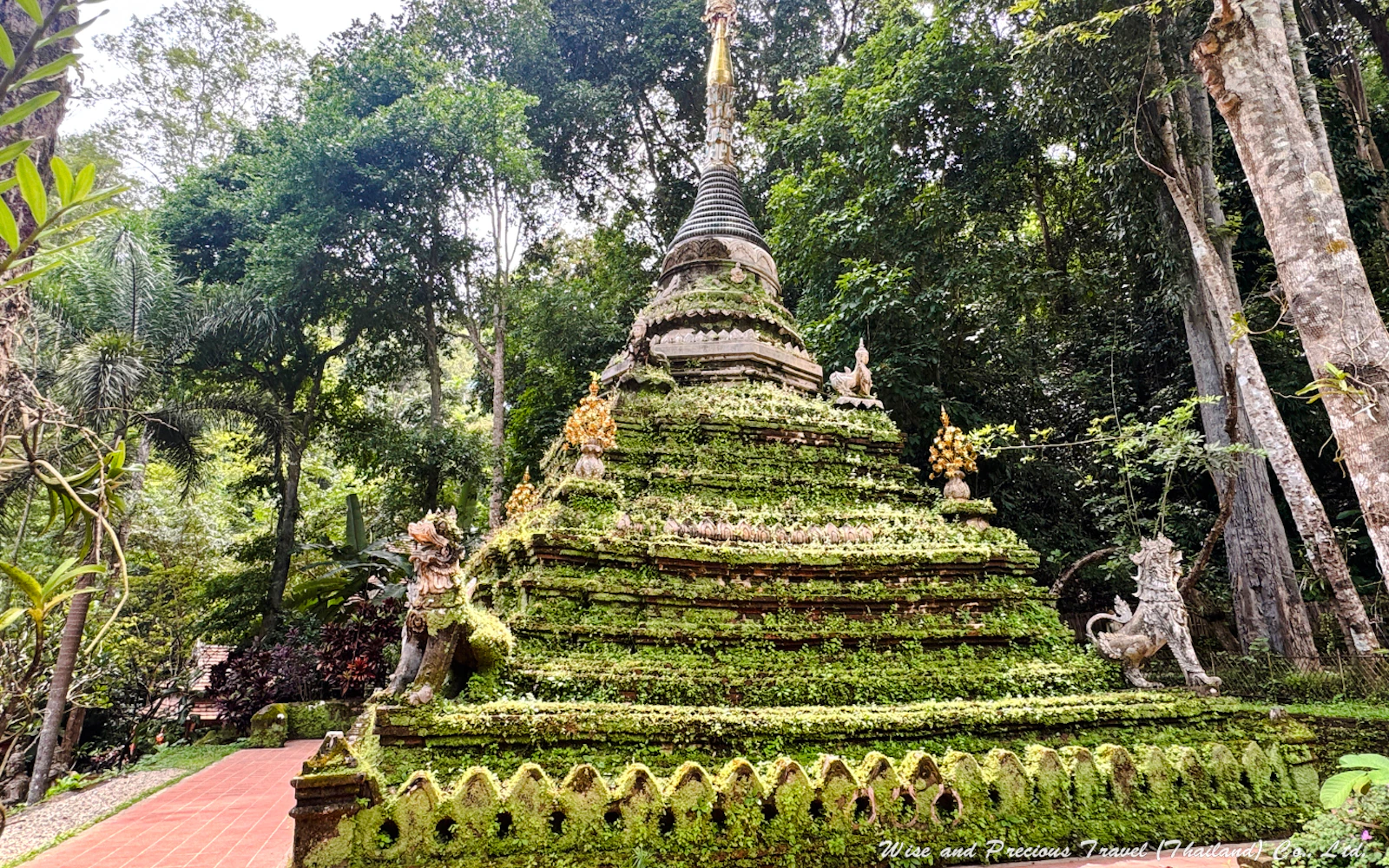 From Chiang Mai: Doi Suthep Temple and Wat Pha Lat Private Van Charter for Up to 8 Passengers Image 4