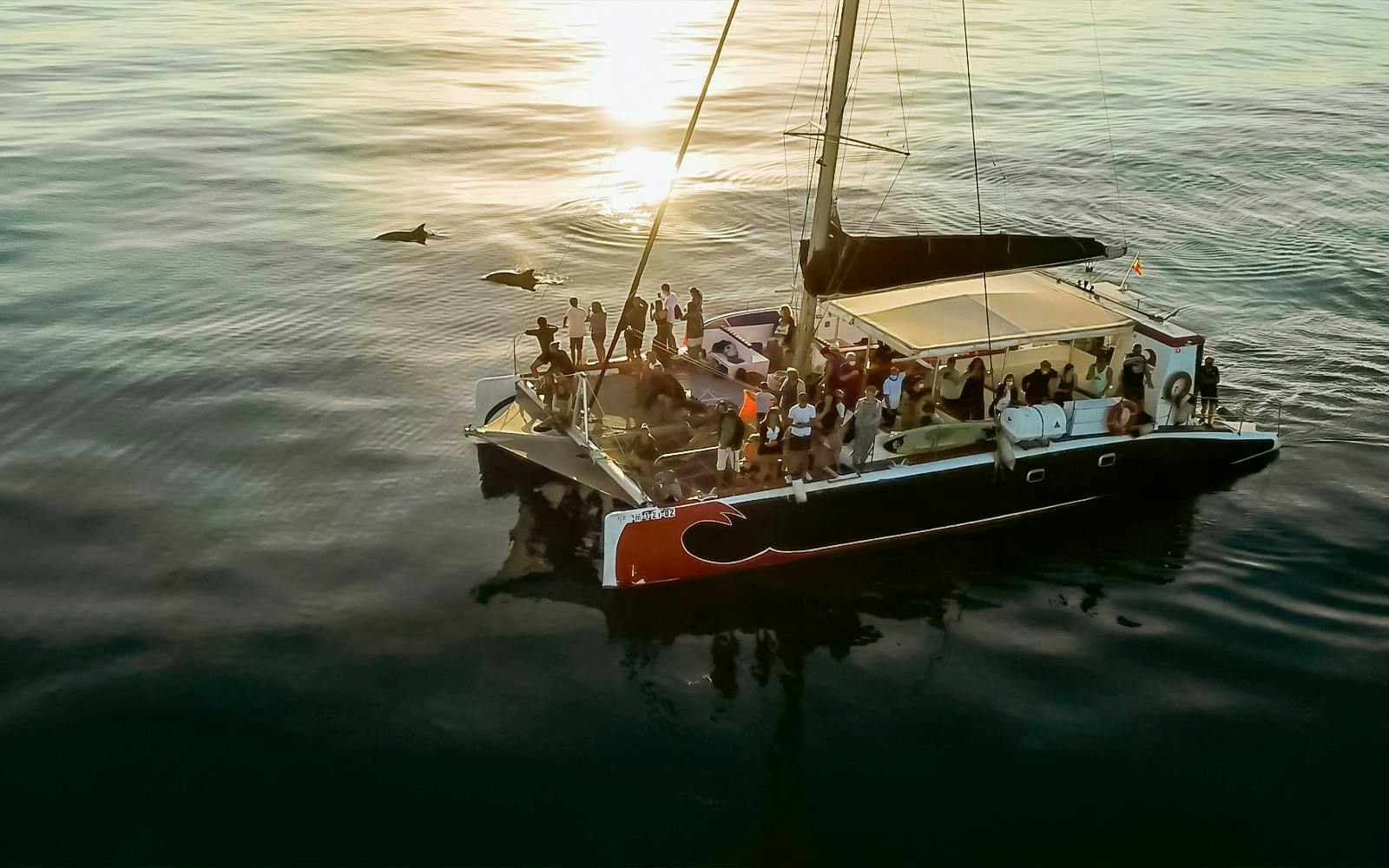 Tourists on a catamaran watching dolphins at sunrise in Mallorca.