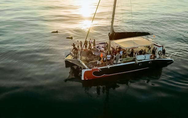 Tourists on a catamaran watching dolphins at sunrise in Mallorca.