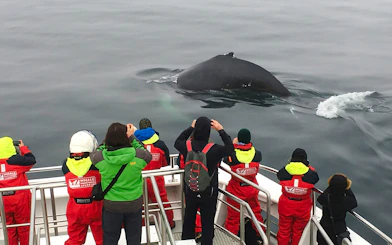 Tourists watching a humpback whale from a boat in Akureyri during a classic whale watching tour.
