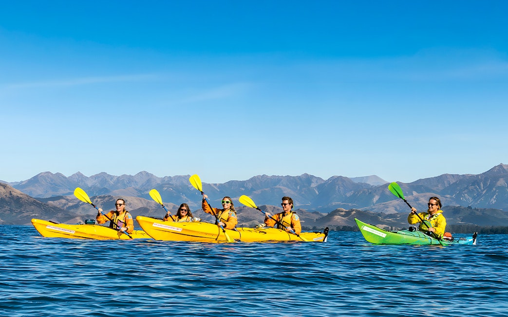 Group kayaking on a guided wildlife tour with mountain views in the background.