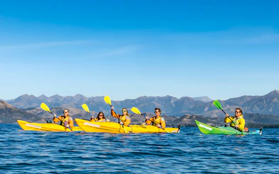 Group kayaking on a guided wildlife tour with mountain views in the background.