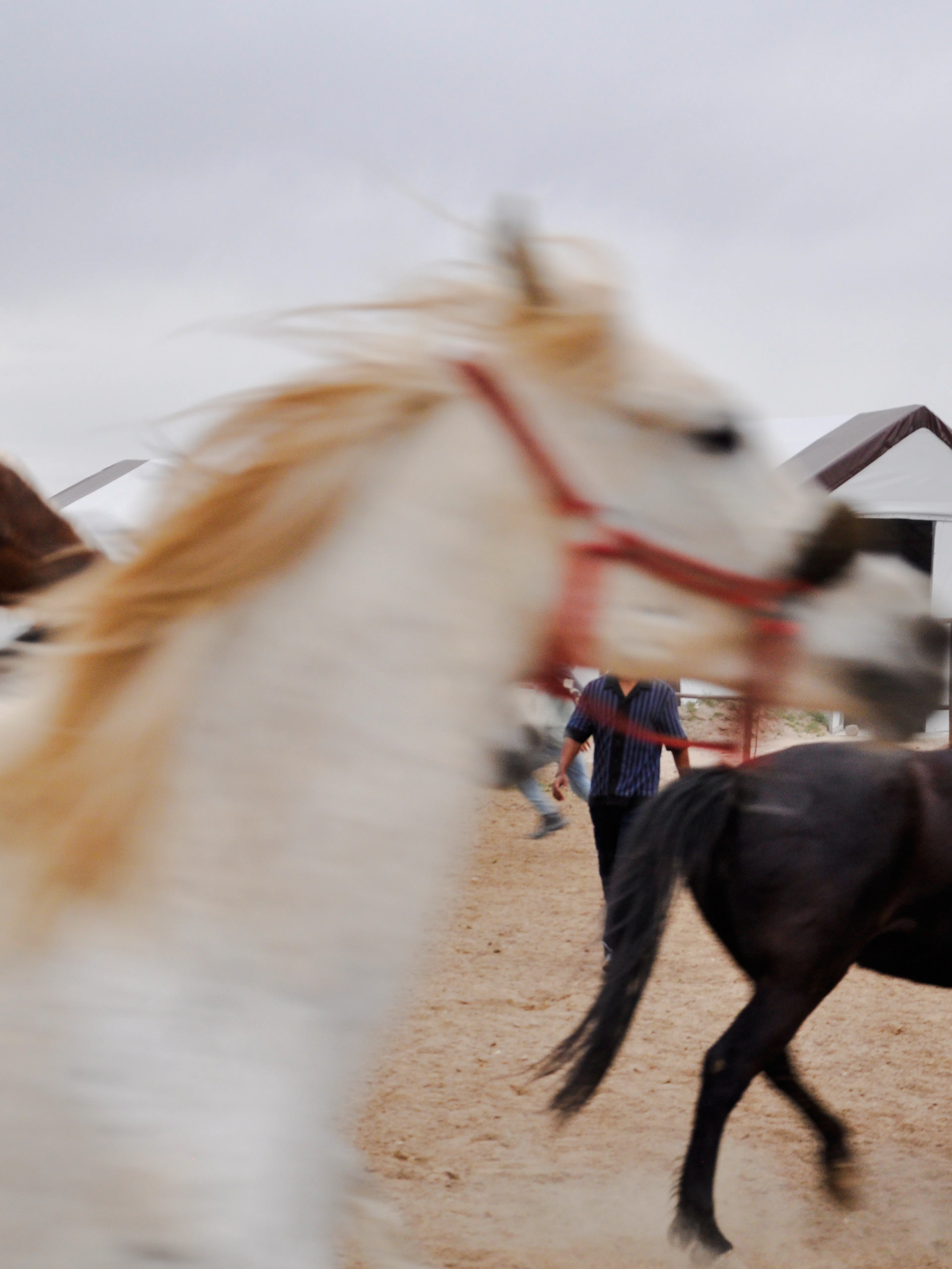 cappadocia horseback riding and atv combo tour-1