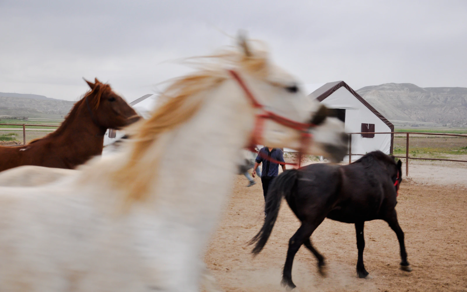 Cappadocia Horseback Riding and ATV Combo Tour