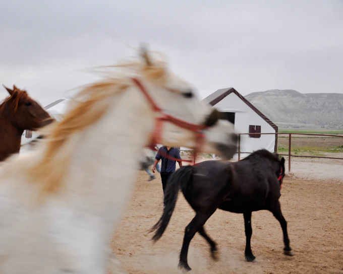 Cappadocia Horseback Riding and ATV Combo Tour