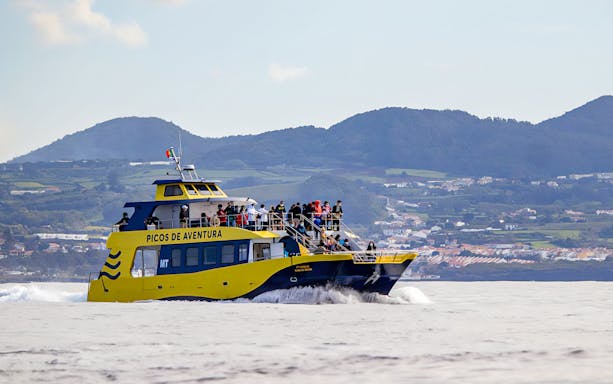 Yellow tour boat with passengers on a whale watching tour near coastal hills.