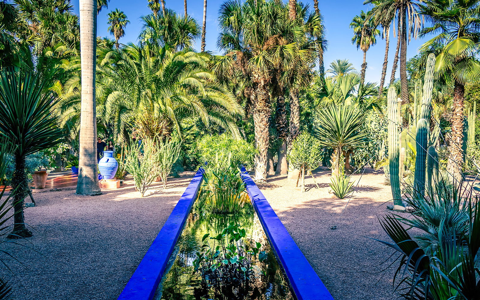 Jardin Majorelle garden with palm trees and blue water feature in Marrakech, Morocco.