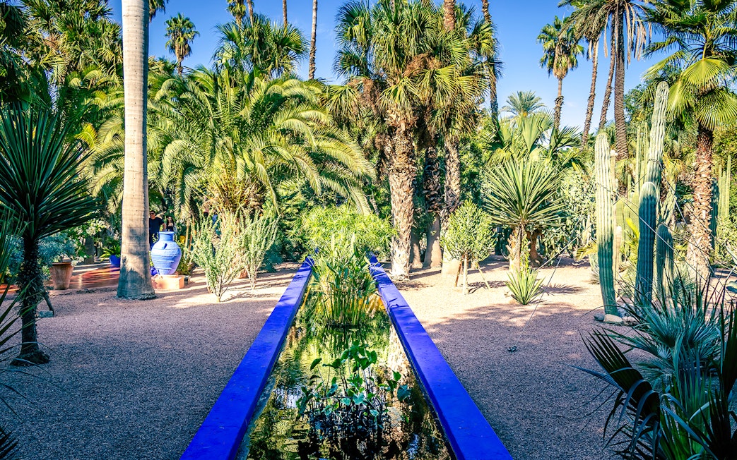 Jardin Majorelle garden with palm trees and blue water feature in Marrakech, Morocco.