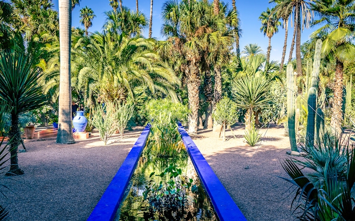 Jardin Majorelle garden with palm trees and blue water feature in Marrakech, Morocco.