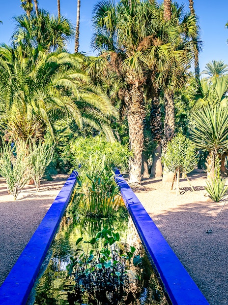 Jardin Majorelle garden with palm trees and blue water feature in Marrakech, Morocco.