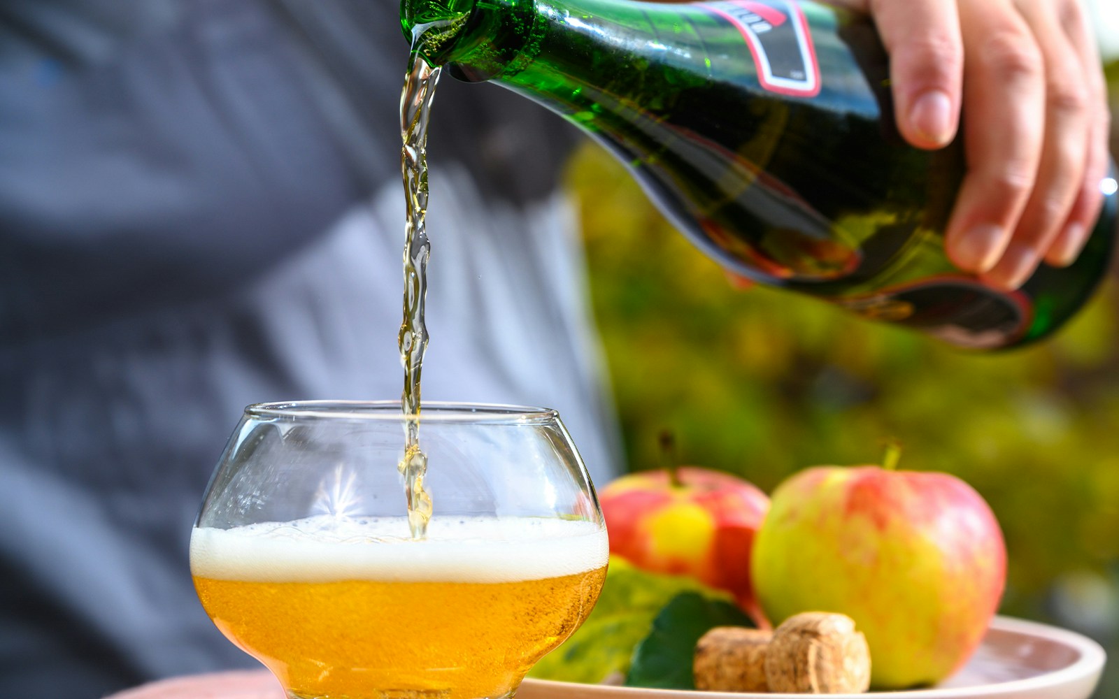 Apple orchard with cider tasting in New York.