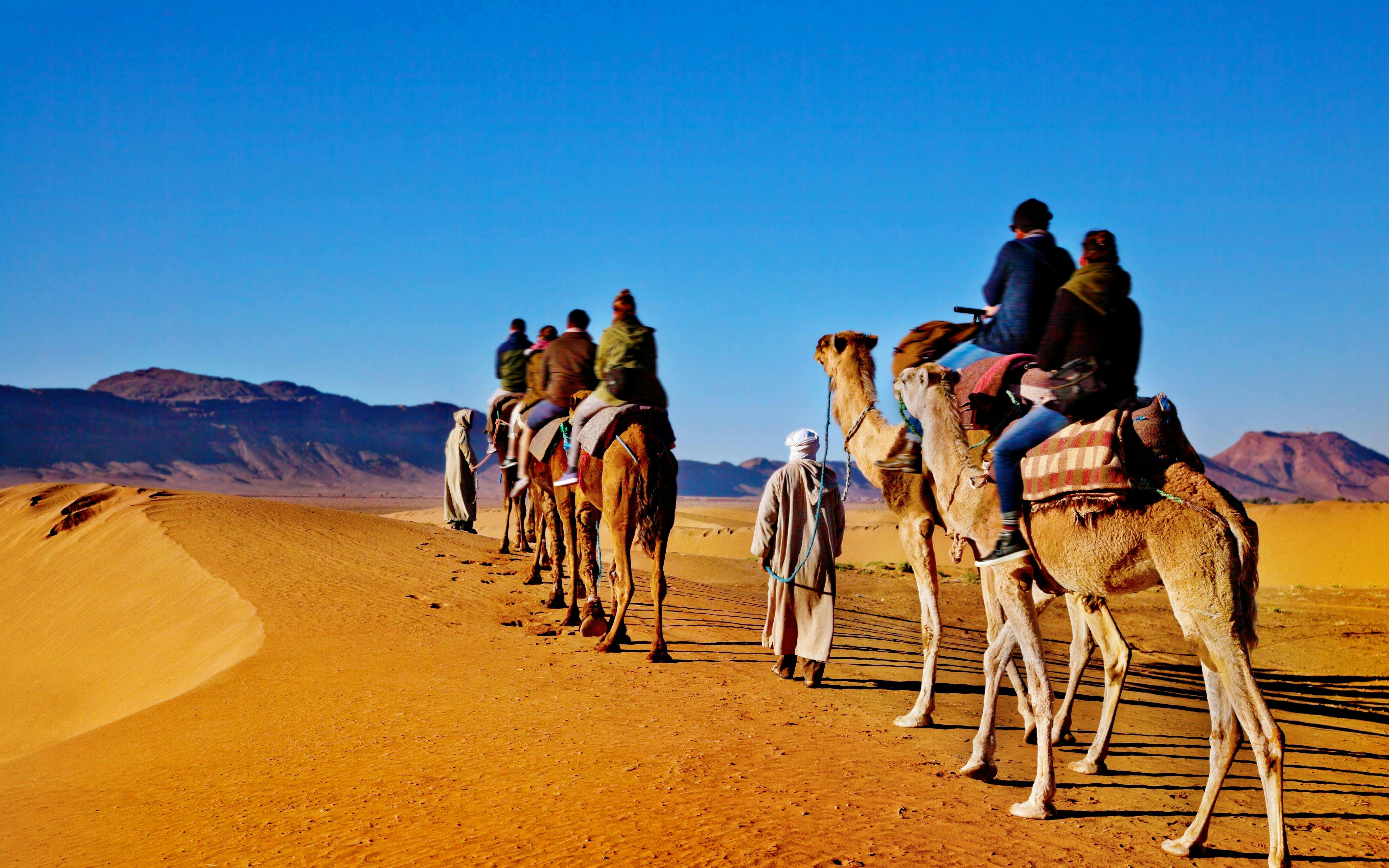 Camel caravan trekking through desert near Ait Ben-Haddou, Morocco.