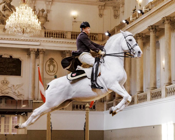 Spanish Riding School Performance Show (45 min)