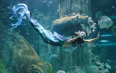 Mermaid performer swimming in aquarium at Vinwonders Phu Quoc Theme Park.