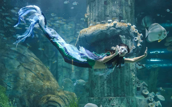 Mermaid performer swimming in aquarium at Vinwonders Phu Quoc Theme Park.