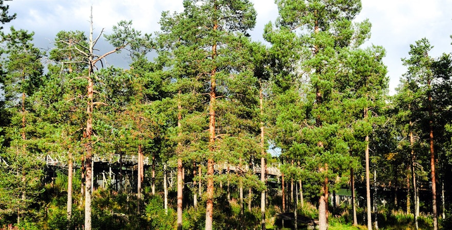 Parque Natural de Ranua