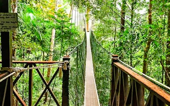 desde kuala lumpur: excursión privada de un día al parque nacional de taman negara con paseo por las copas de los árboles-15