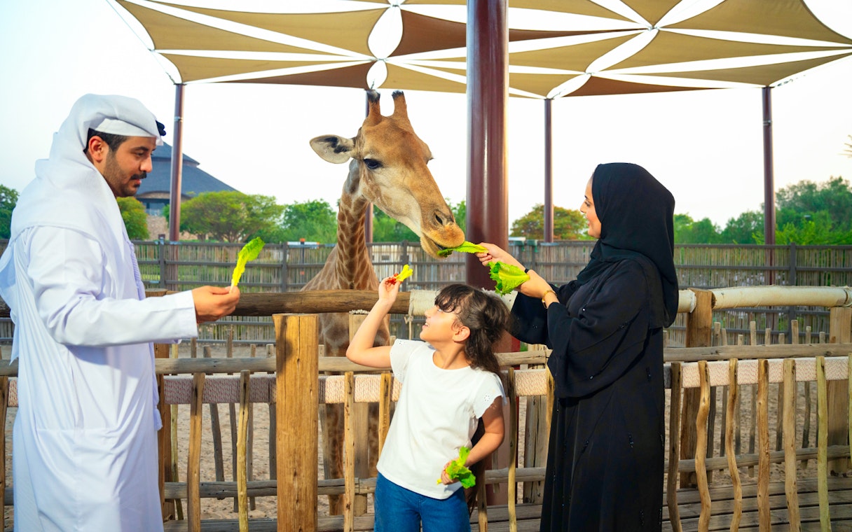 Family feeding giraffe at Dubai Safari Park, engaging in edutainment activity.