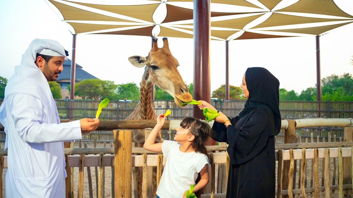 Family feeding giraffe at Dubai Safari Park, engaging in edutainment activity.