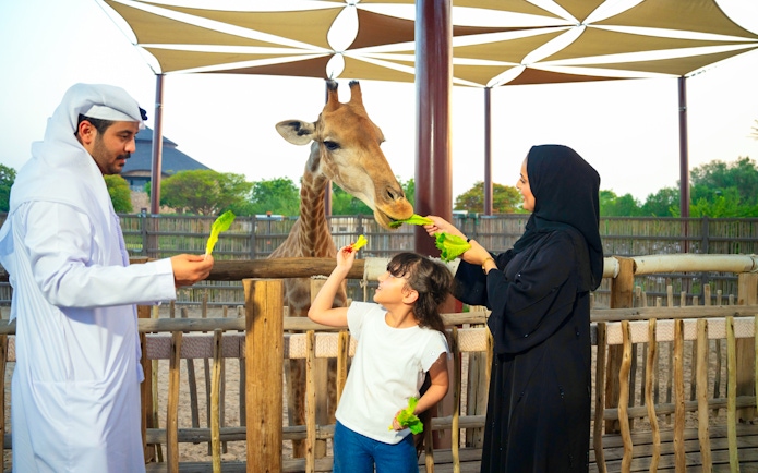 Family feeding giraffe at Dubai Safari Park, engaging in edutainment activity.
