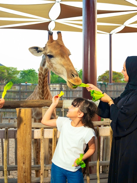 Family feeding giraffe at Dubai Safari Park, engaging in edutainment activity.