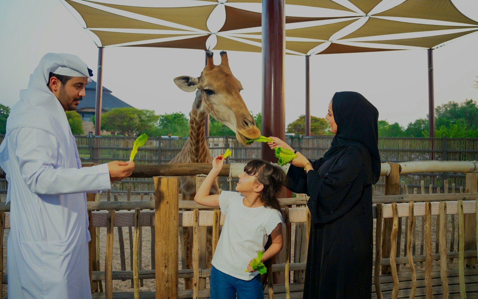 Family feeding giraffe at Dubai Safari Park, engaging in edutainment activity.