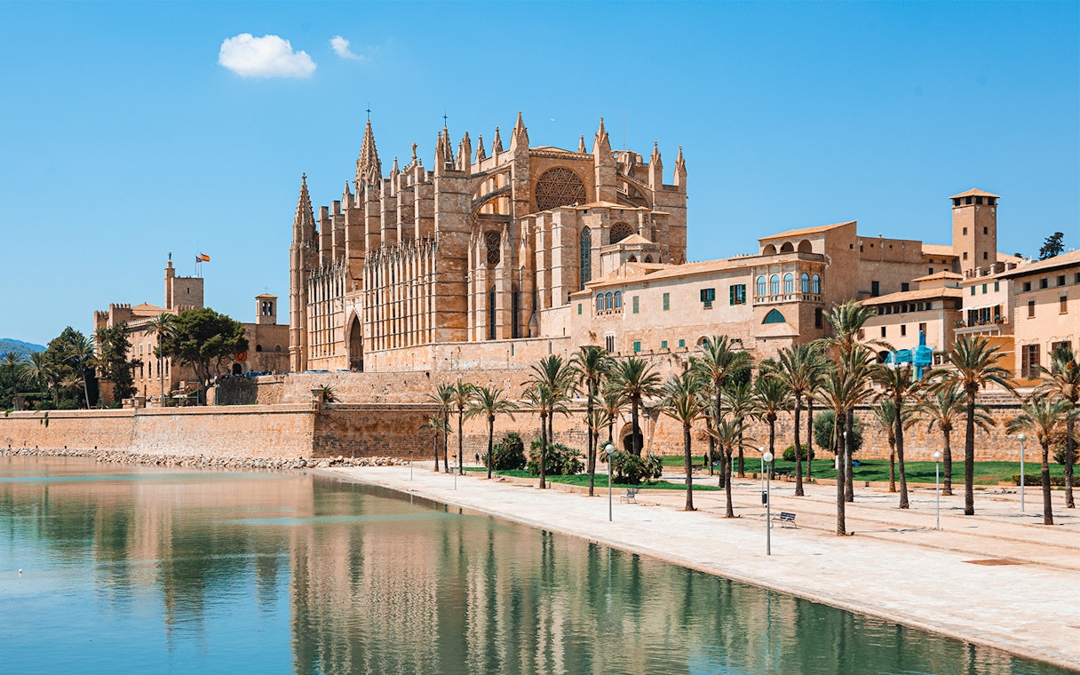 Catedral de Mallorca exterior view with palm trees and reflection in water.