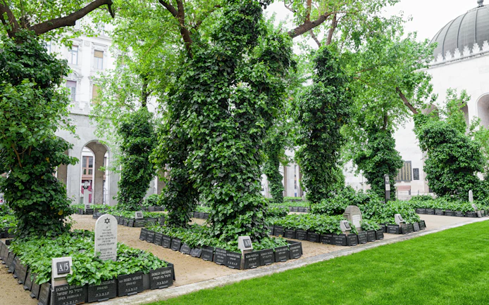 Graves surrounded by ivy in the courtyard of the Great Jewish Synagogue, Budapest, Hungary.