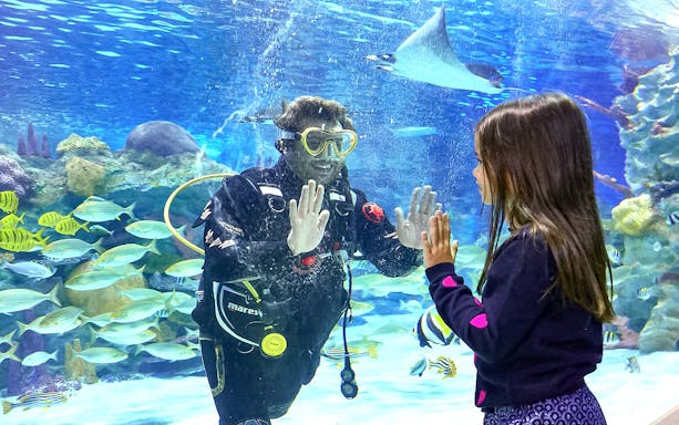 Diver interacting with a child through the glass at Istanbul Emaar Aquarium.