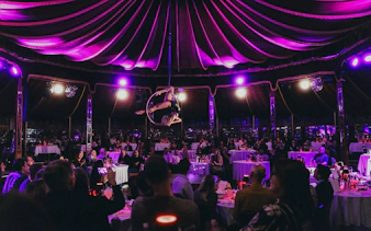 Performer on aerial hoop at The Mirage dinner show, Burlesque, Vienna.
