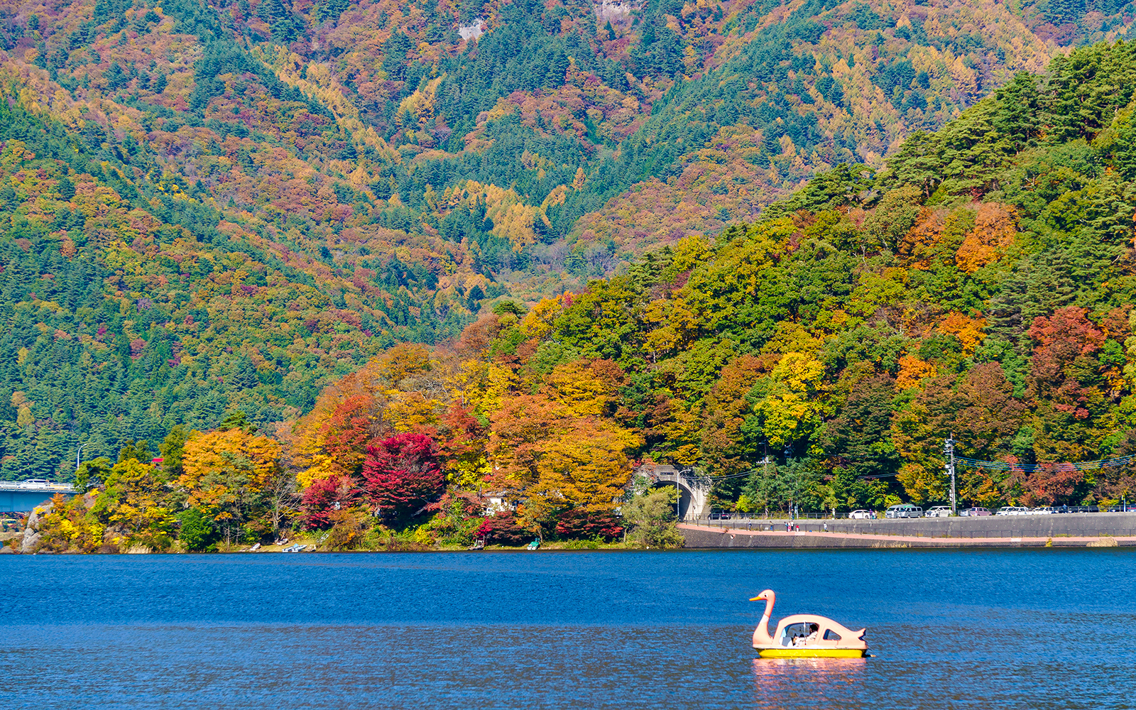 Paddling on Lake Kawaguchi