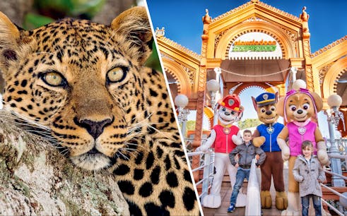 combo (réduction de 5 %): zoo aquarium madrid + parque de atracciones de madrid skip-the-line tickets-1