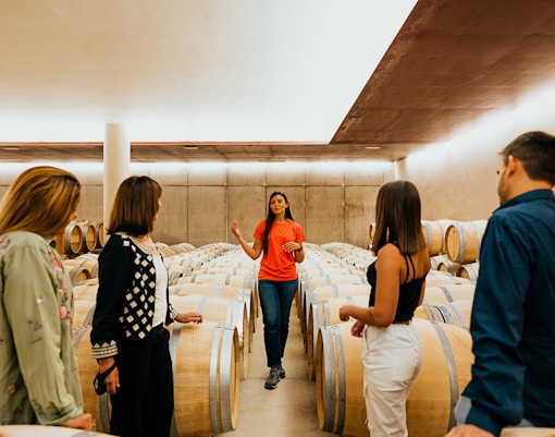 Cite Du Vin Exhibition Winemaking