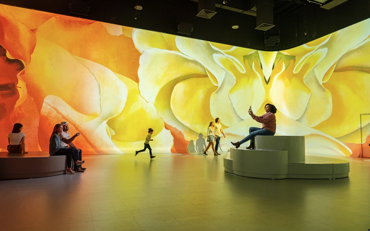 Visitors enjoying immersive art exhibit in Las Vegas with vibrant floral projections.