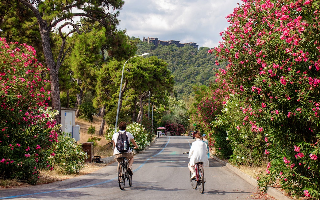 Cyclists on a scenic road lined with pink flowers on Buyukada Island, Turkey.