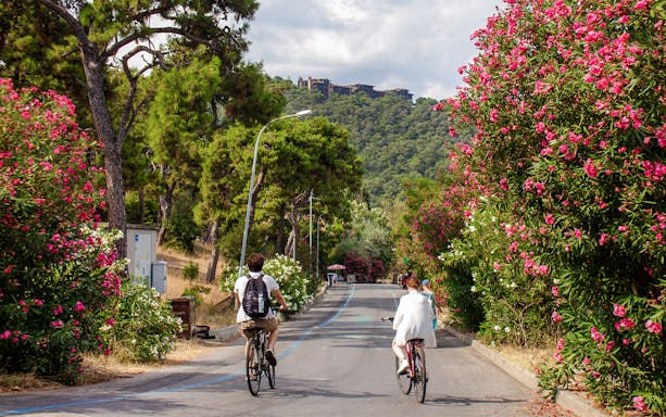 Cyclists on a scenic road lined with pink flowers on Buyukada Island, Turkey.