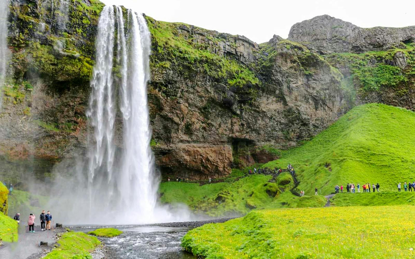 Guests walking near Seljalandsfoss waterfall in Iceland, surrounded by lush green landscape.
