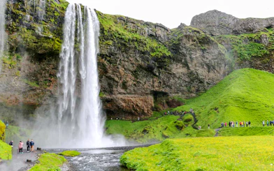 Guests walking near Seljalandsfoss waterfall in Iceland, surrounded by lush green landscape.