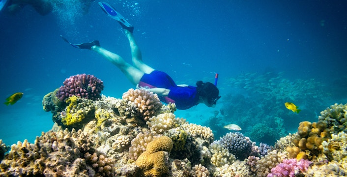Snorkeler exploring coral reef at Giftun Island, Hurghada.