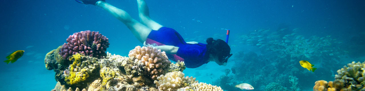 Hurghada: tour di un'intera giornata all'Isola di Giftun con snorkeling e pranzo