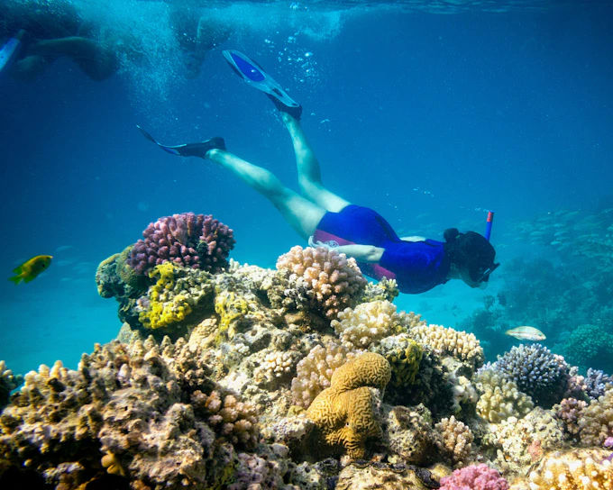 Hurghada: Giftun Island Full Day Snorkeling Tour with Lunch