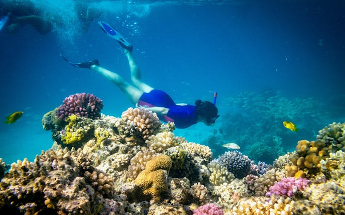 Snorkeler exploring coral reef at Giftun Island, Hurghada.