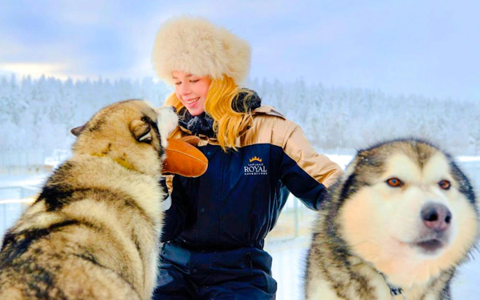 Guests interacting with Huskies in snowy Lapland setting.