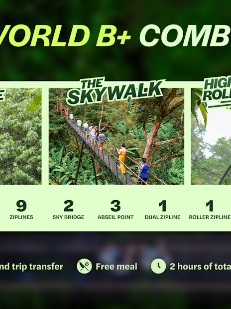 Ziplining and skywalk adventure at Hanuman World, Phuket, featuring high-speed roller zipline.