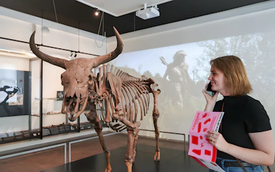 Skeleton exhibit at the National Museum of Denmark with visitor using an audio guide.