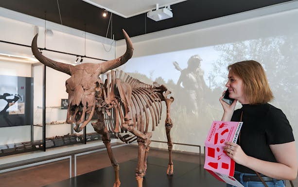 Skeleton exhibit at the National Museum of Denmark with visitor using an audio guide.