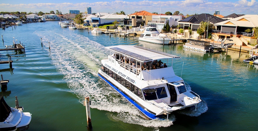 Tourists on a scenic marine cruise in Perth, Australia, watching dolphins in the ocean.